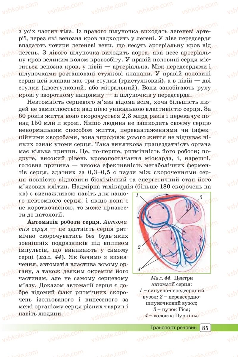 Страница 85 | Підручник Біологія 8 клас О.В. Костильов, С.П. Яценко 2016