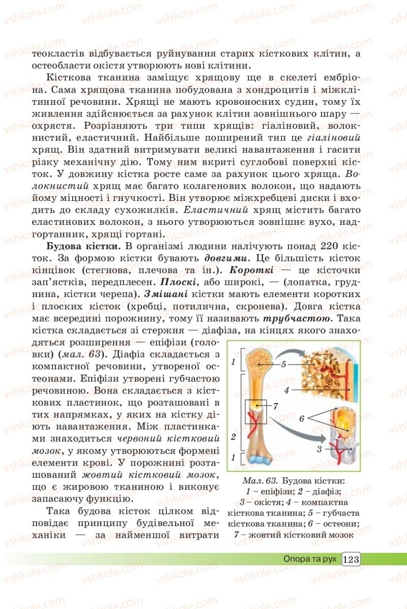 Страница 123 | Підручник Біологія 8 клас О.В. Костильов, С.П. Яценко 2016
