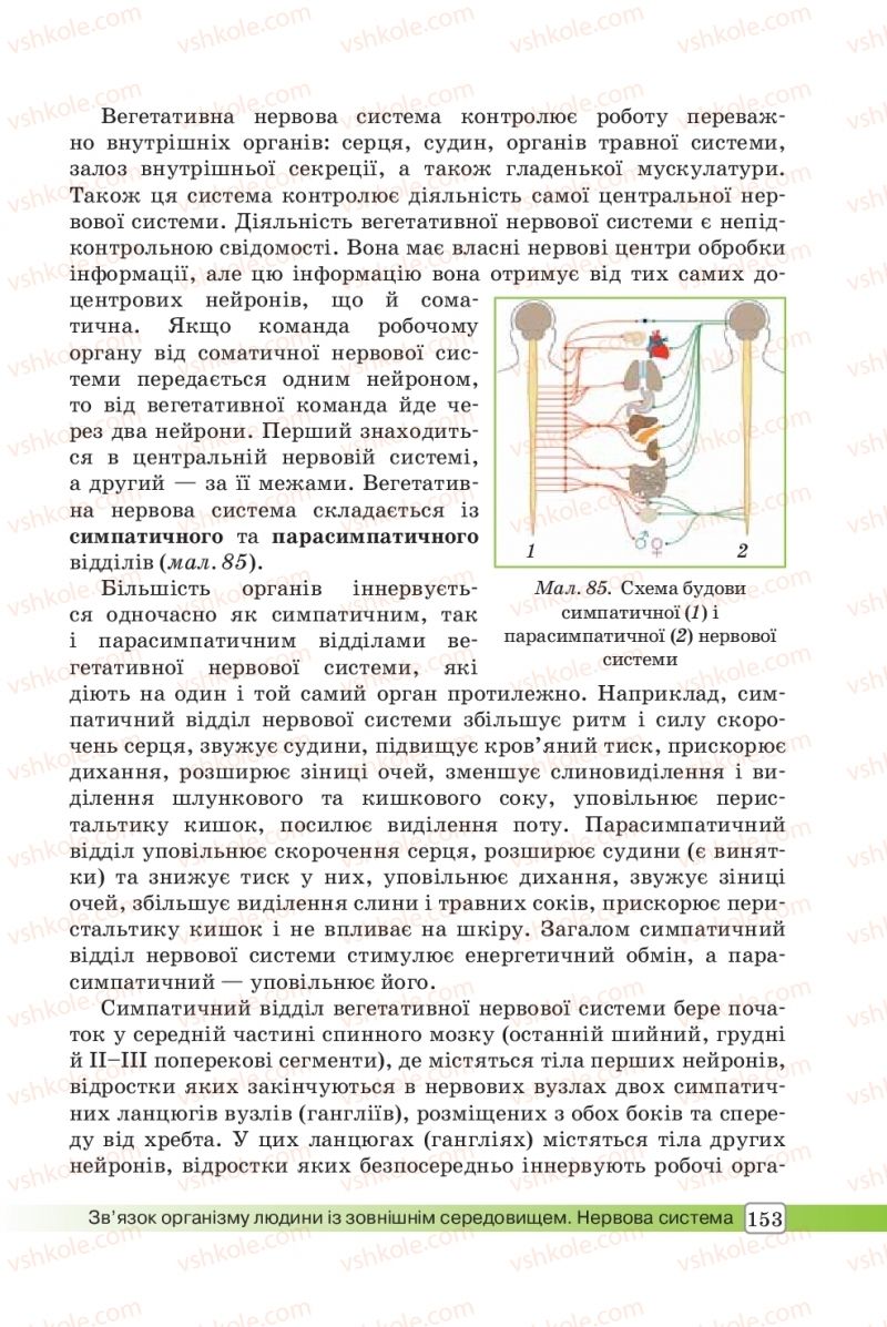 Страница 153 | Підручник Біологія 8 клас О.В. Костильов, С.П. Яценко 2016