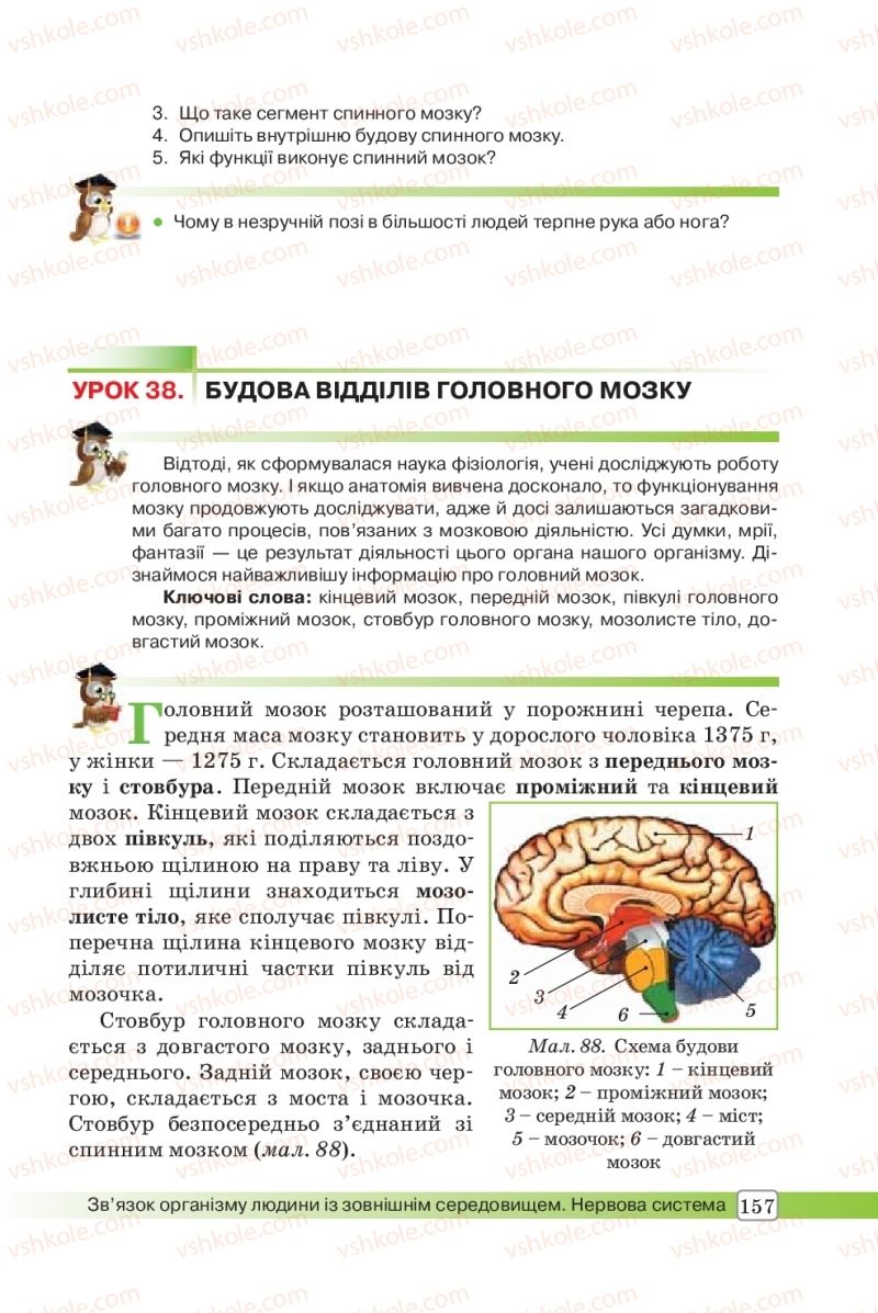 Страница 157 | Підручник Біологія 8 клас О.В. Костильов, С.П. Яценко 2016