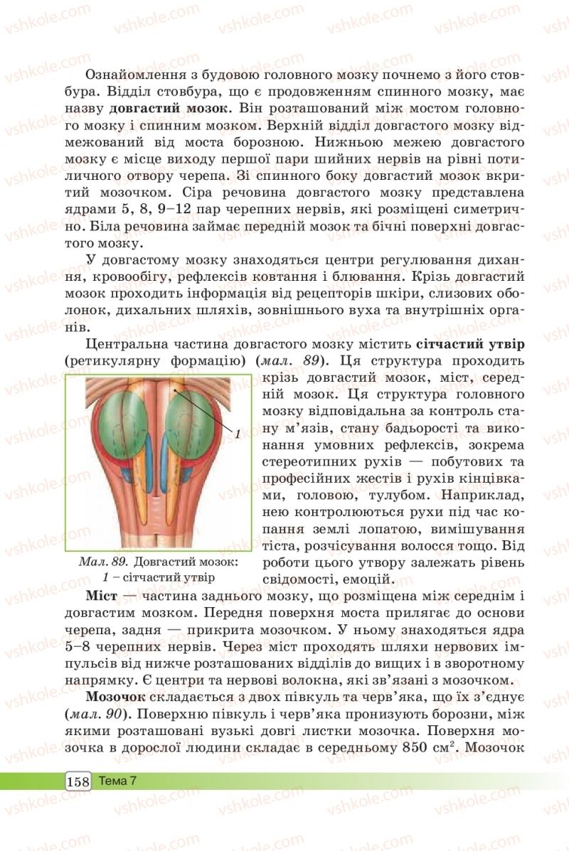 Страница 158 | Підручник Біологія 8 клас О.В. Костильов, С.П. Яценко 2016