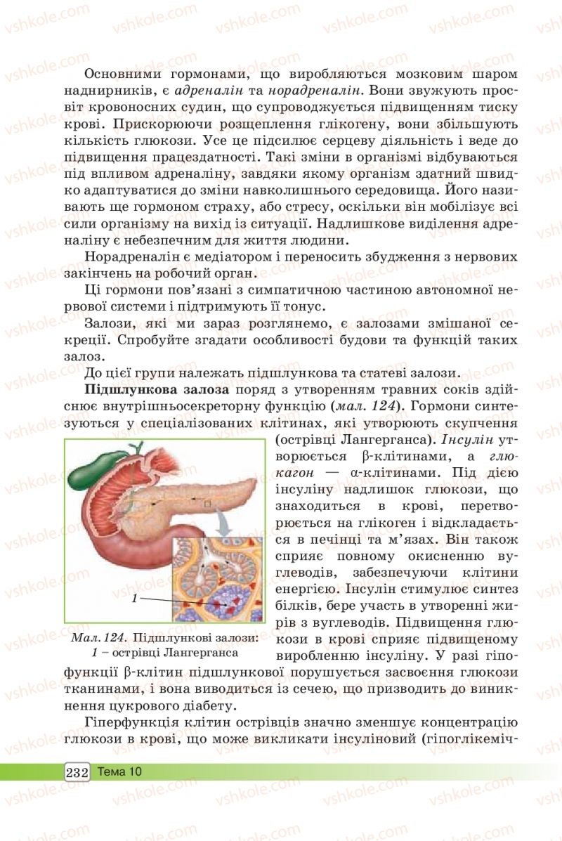 Страница 232 | Підручник Біологія 8 клас О.В. Костильов, С.П. Яценко 2016