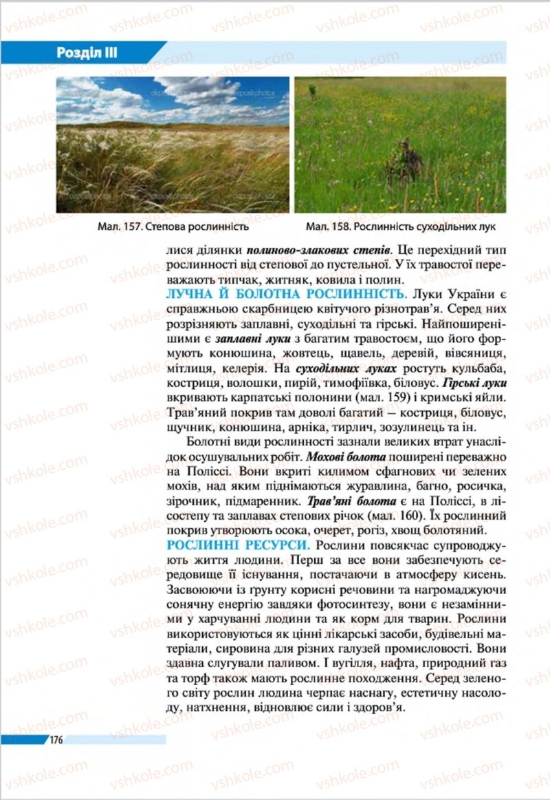 Страница 176 | Підручник Географія 8 клас В.М. Бойко, І.Л. Дітчук, Л.Б. Заставецька 2016