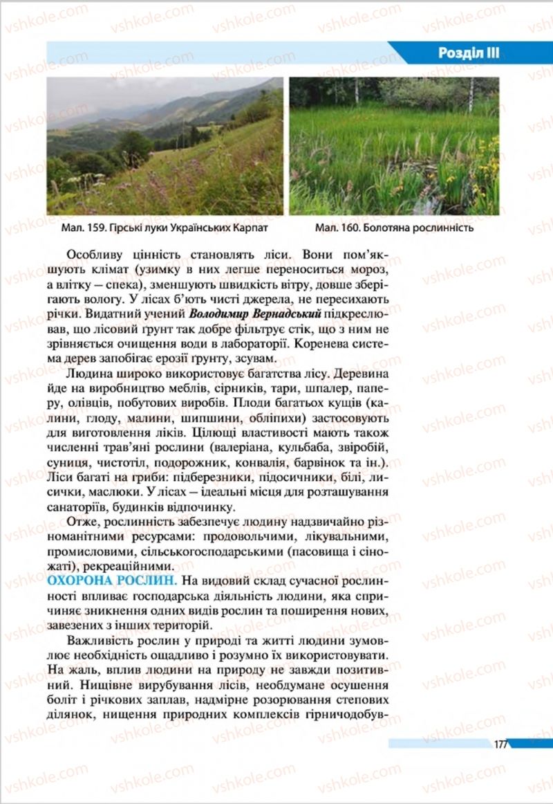 Страница 177 | Підручник Географія 8 клас В.М. Бойко, І.Л. Дітчук, Л.Б. Заставецька 2016