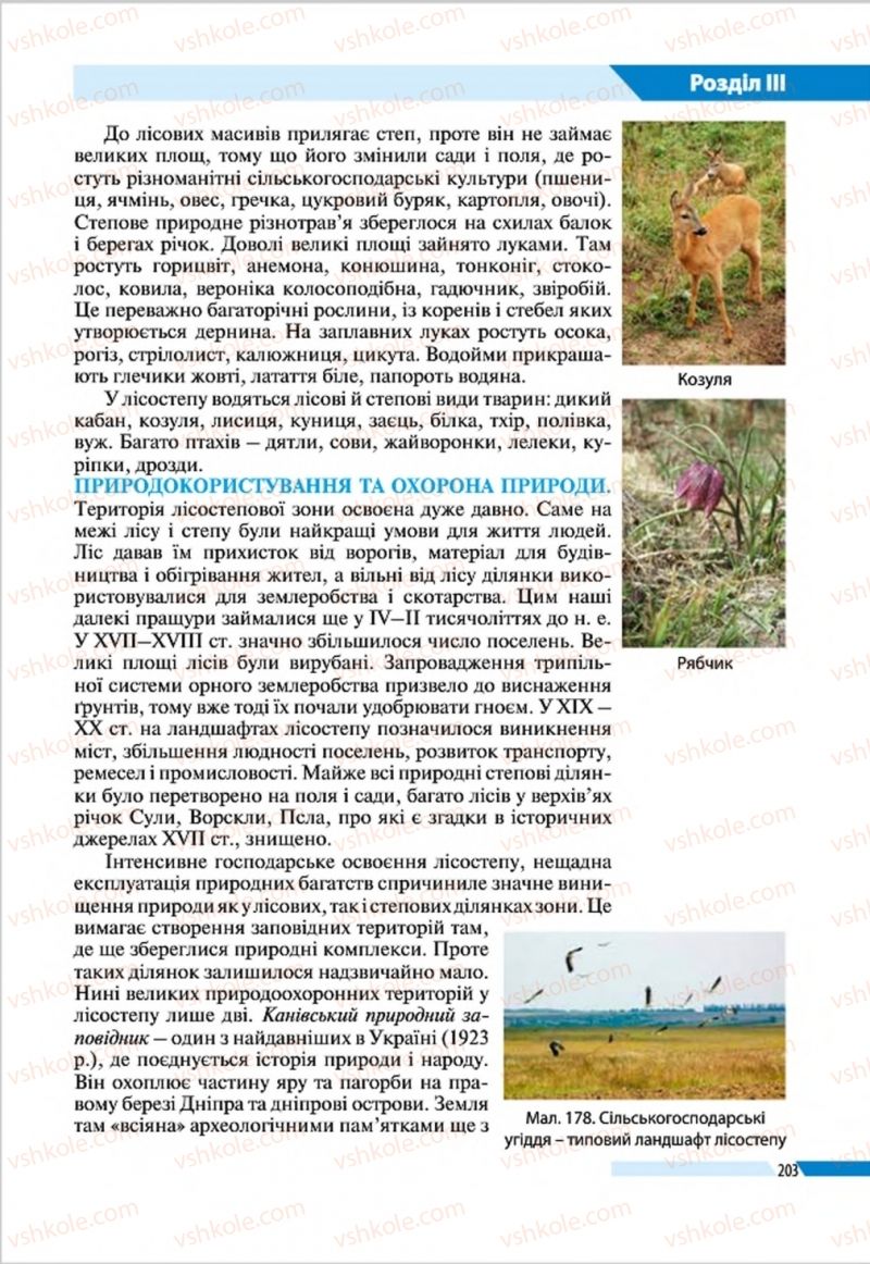Страница 203 | Підручник Географія 8 клас В.М. Бойко, І.Л. Дітчук, Л.Б. Заставецька 2016