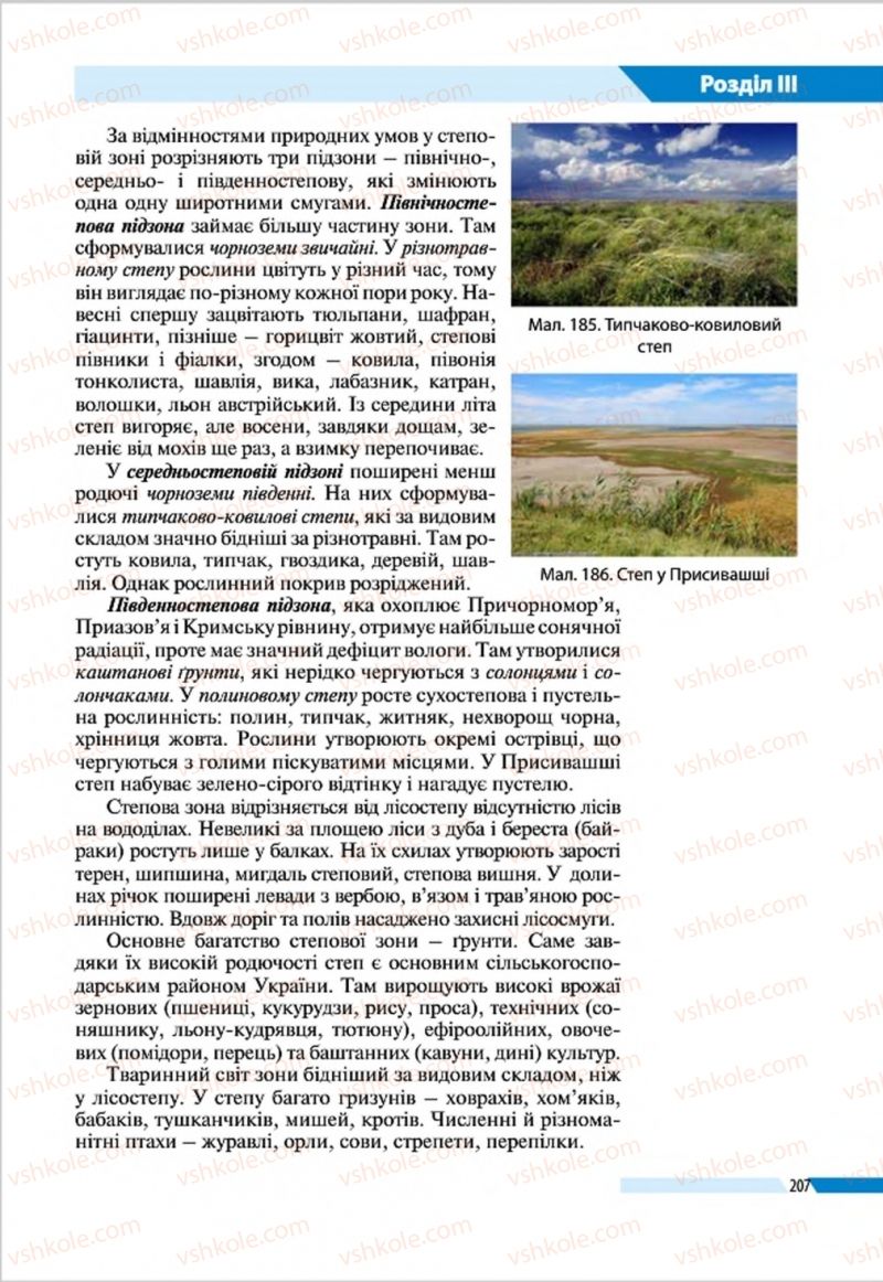 Страница 207 | Підручник Географія 8 клас В.М. Бойко, І.Л. Дітчук, Л.Б. Заставецька 2016
