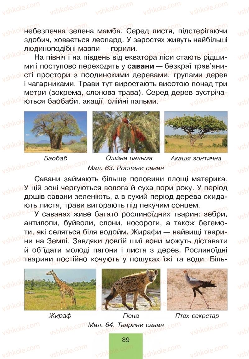 Страница 89 | Підручник Природознавство 4 клас Т.В. Гладюк, М.М. Гладюк 2015