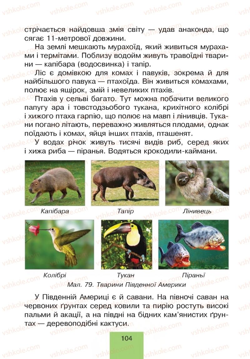 Страница 104 | Підручник Природознавство 4 клас Т.В. Гладюк, М.М. Гладюк 2015