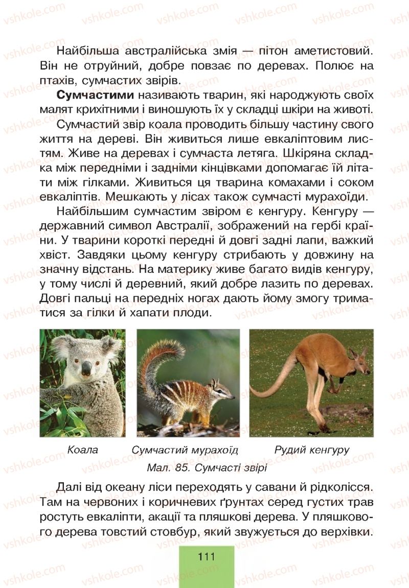 Страница 111 | Підручник Природознавство 4 клас Т.В. Гладюк, М.М. Гладюк 2015