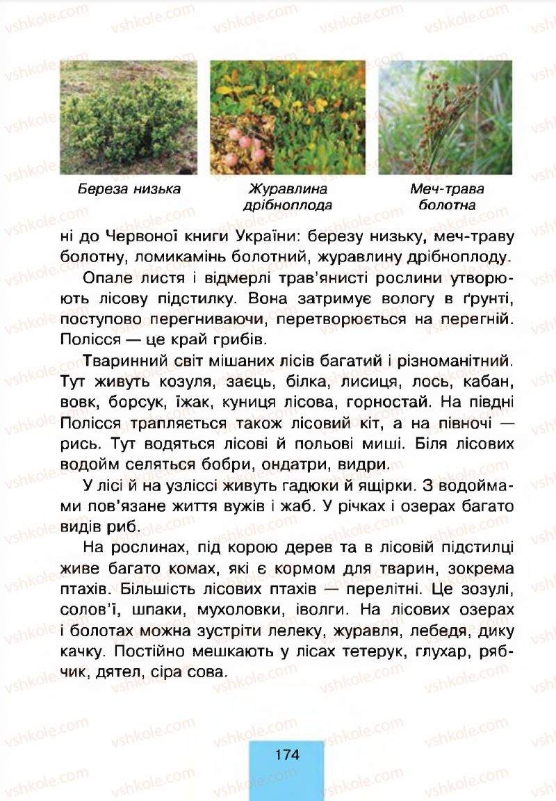 Страница 174 | Підручник Природознавство 4 клас Т.В. Гладюк, М.М. Гладюк 2015