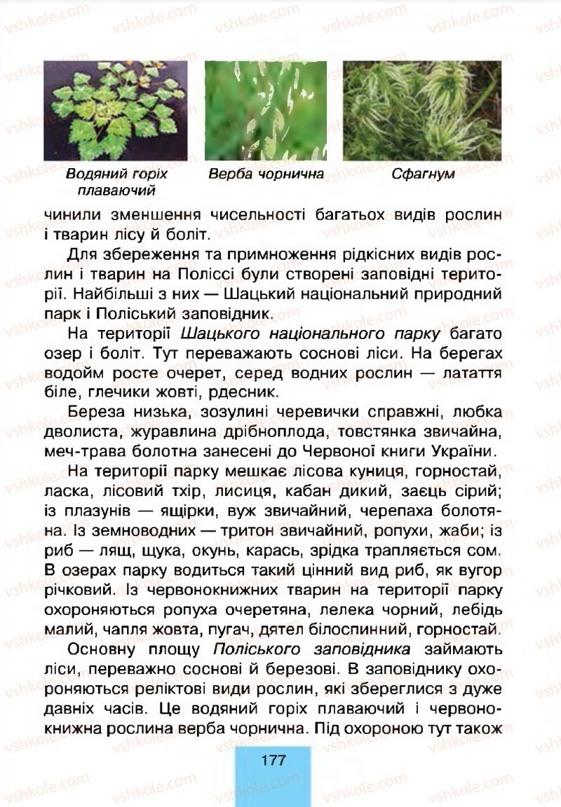 Страница 177 | Підручник Природознавство 4 клас Т.В. Гладюк, М.М. Гладюк 2015