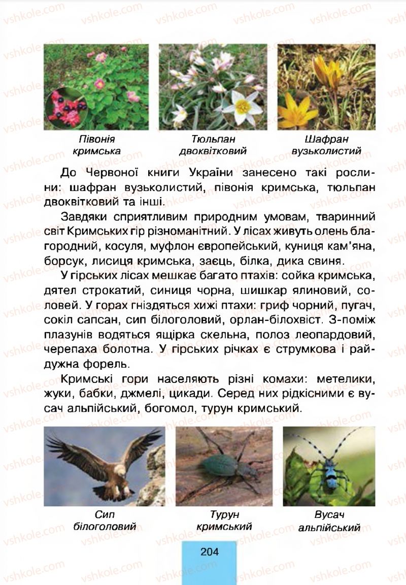 Страница 204 | Підручник Природознавство 4 клас Т.В. Гладюк, М.М. Гладюк 2015