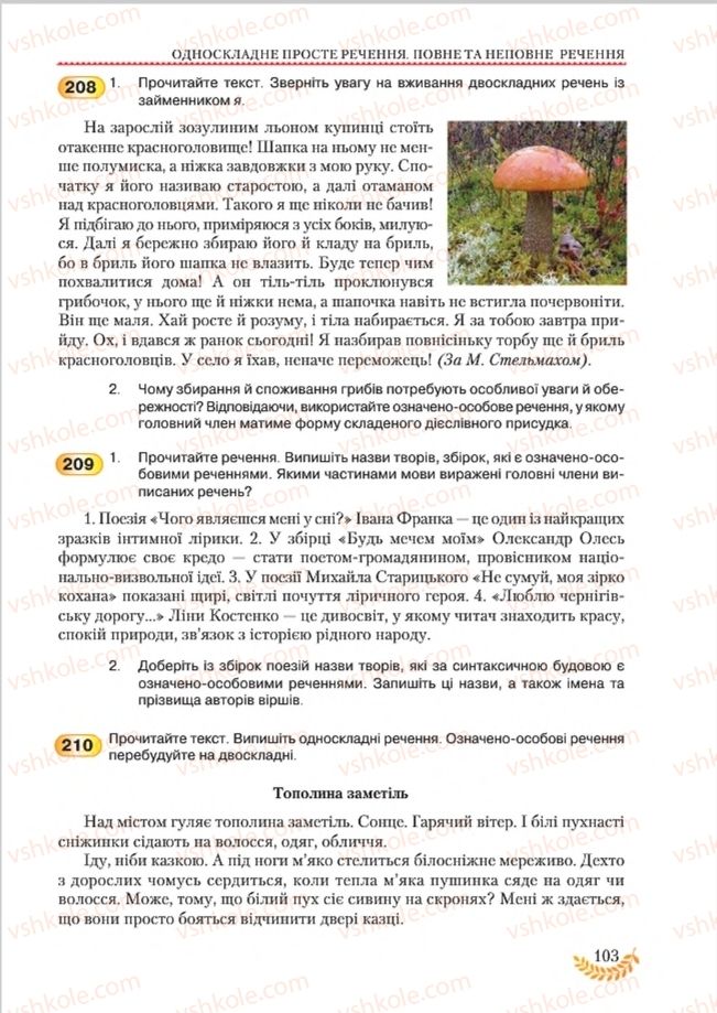 Страница 103 | Підручник Українська мова 8 клас С.Я. Єрмоленко, В.Т. Сичова, М.Г. Жук 2016