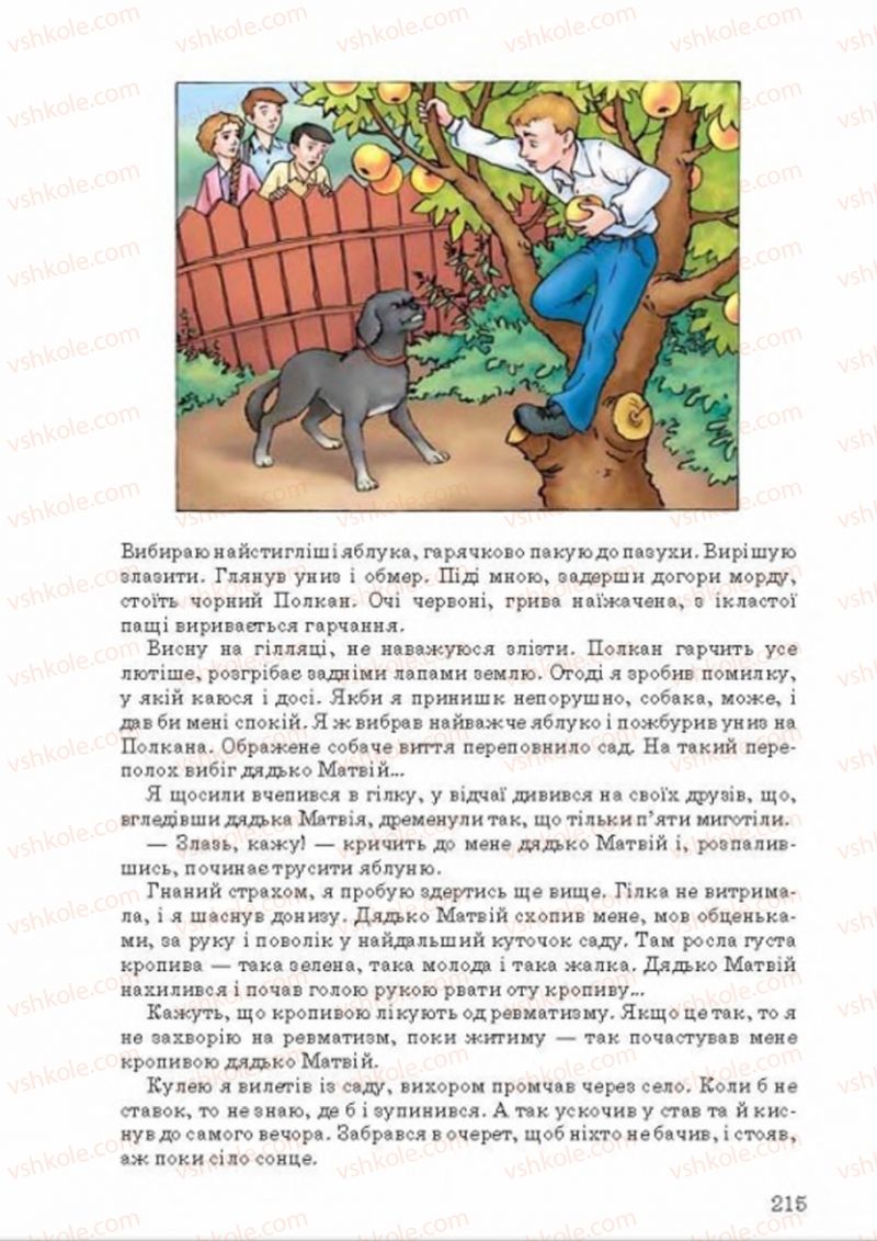 Страница 215 | Підручник Українська мова 8 клас А.А. Ворон, В.А. Солопенко 2016