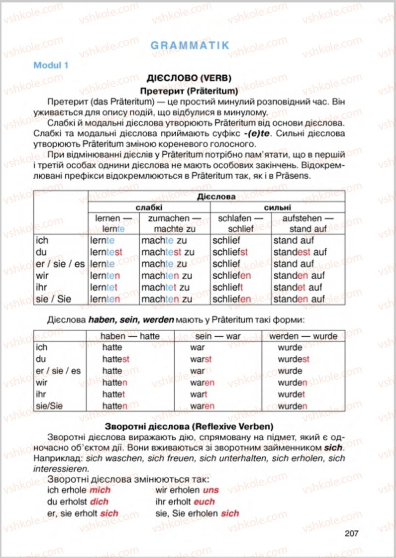 Страница 207 | Підручник Німецька мова 8 клас М.М. Сидоренко, О.А. Палій 2016 4 рік навчання