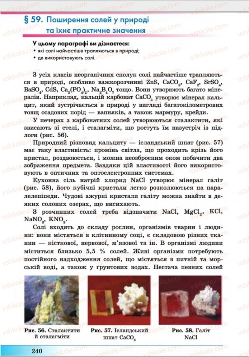 Страница 240 | Підручник Хімія 8 клас А.М. Бутенко 2016 Поглиблене вивчення