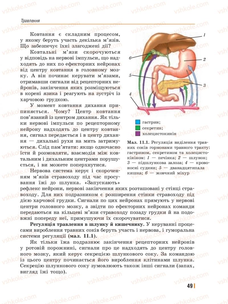Страница 49 | Підручник Біологія 8 клас Т.І. Базанова, Ю.В. Павіченко, Ю.О. Кузнецова 2016
