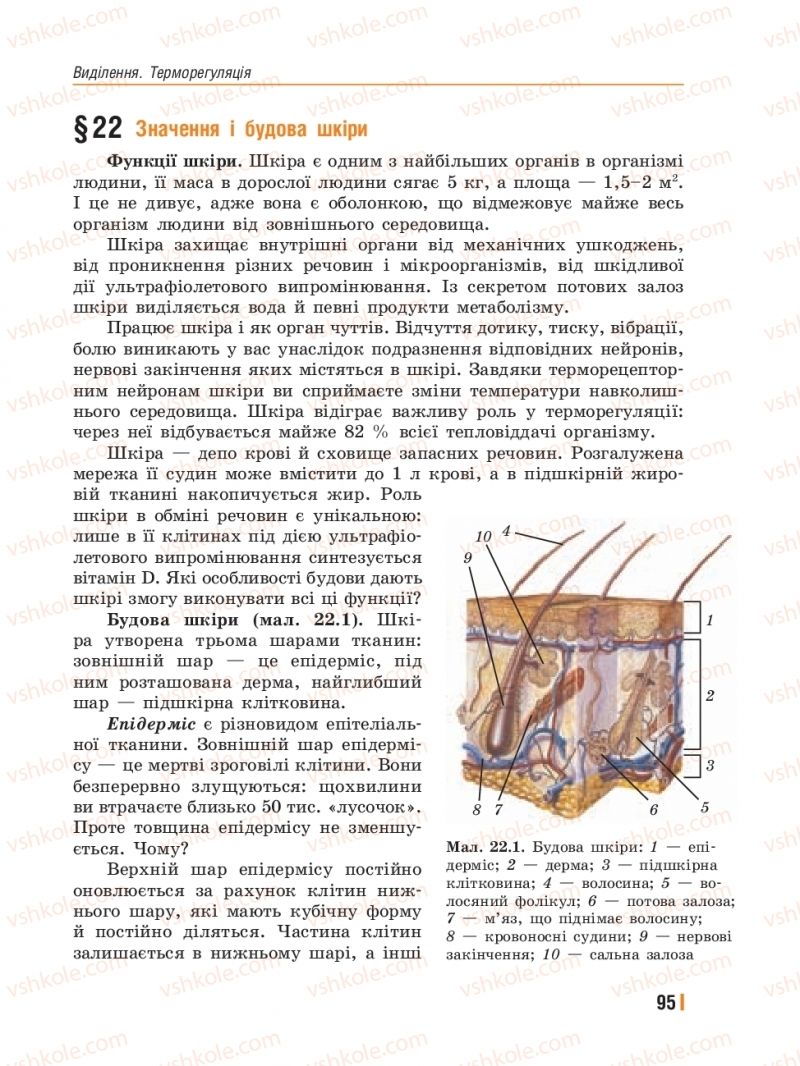 Страница 95 | Підручник Біологія 8 клас Т.І. Базанова, Ю.В. Павіченко, Ю.О. Кузнецова 2016