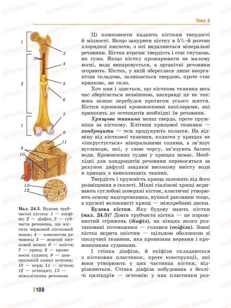 Страница 108 | Підручник Біологія 8 клас Т.І. Базанова, Ю.В. Павіченко, Ю.О. Кузнецова 2016