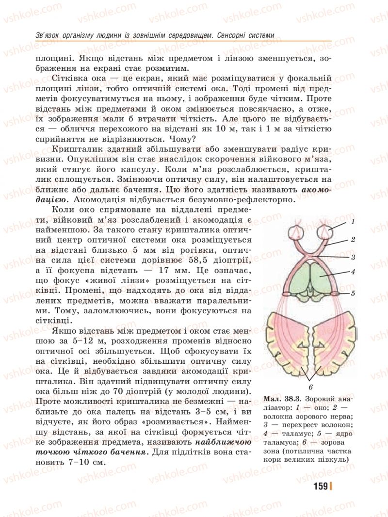 Страница 159 | Підручник Біологія 8 клас Т.І. Базанова, Ю.В. Павіченко, Ю.О. Кузнецова 2016