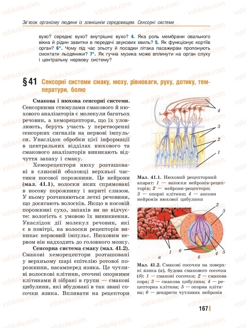 Страница 167 | Підручник Біологія 8 клас Т.І. Базанова, Ю.В. Павіченко, Ю.О. Кузнецова 2016