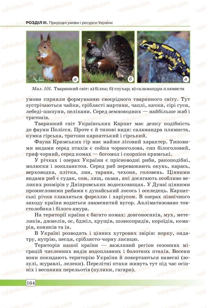 Страница 164 | Підручник Географія 8 клас П.О. Масляк, С.Л. Капіруліна 2016