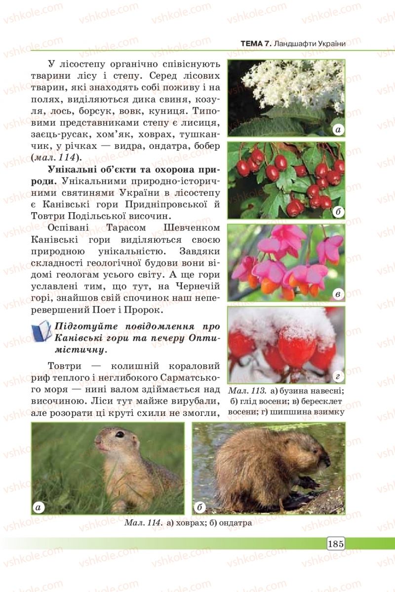 Страница 185 | Підручник Географія 8 клас П.О. Масляк, С.Л. Капіруліна 2016