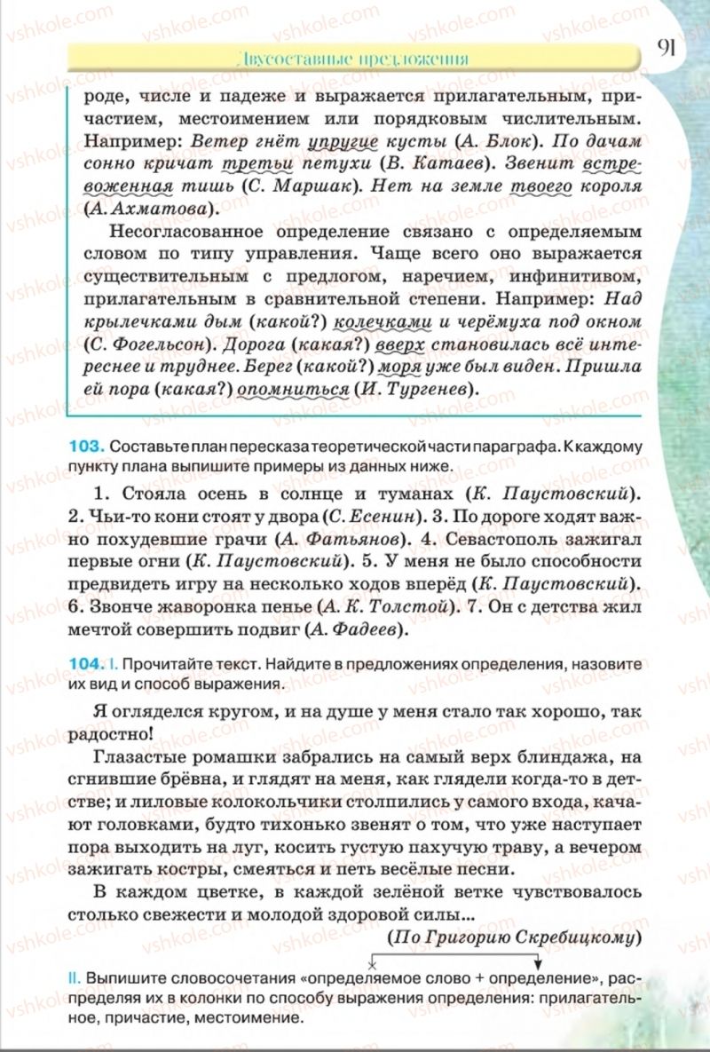 Страница 91 | Підручник Русский язык 8 клас Л.В Давидюк, В.И. Стативка 2016 8 год обучения
