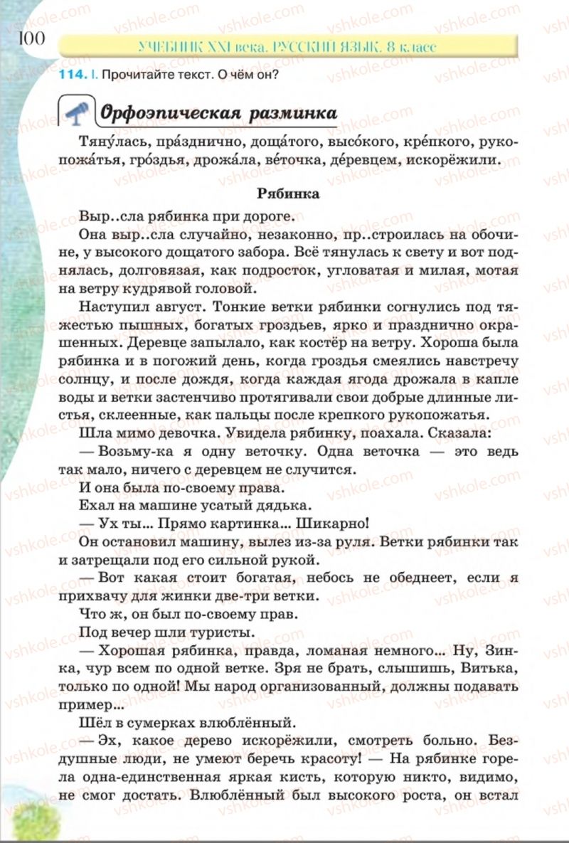 Страница 100 | Підручник Русский язык 8 клас Л.В Давидюк, В.И. Стативка 2016 8 год обучения