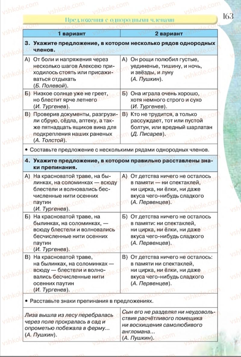 Страница 163 | Підручник Русский язык 8 клас Л.В Давидюк, В.И. Стативка 2016 8 год обучения