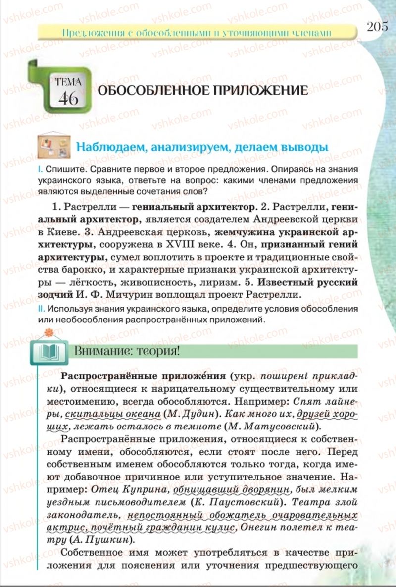 Страница 205 | Підручник Русский язык 8 клас Л.В Давидюк, В.И. Стативка 2016 8 год обучения