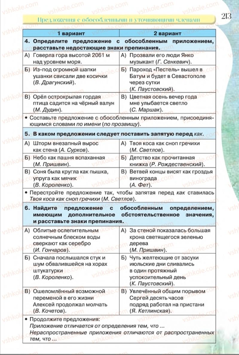 Страница 213 | Підручник Русский язык 8 клас Л.В Давидюк, В.И. Стативка 2016 8 год обучения