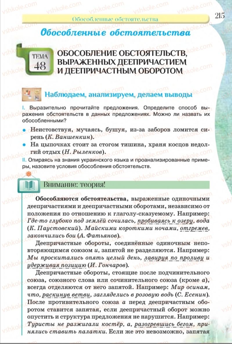 Страница 215 | Підручник Русский язык 8 клас Л.В Давидюк, В.И. Стативка 2016 8 год обучения
