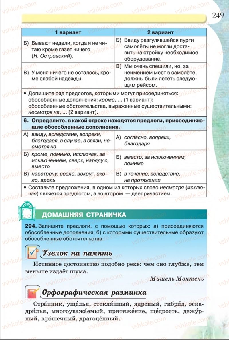 Страница 249 | Підручник Русский язык 8 клас Л.В Давидюк, В.И. Стативка 2016 8 год обучения