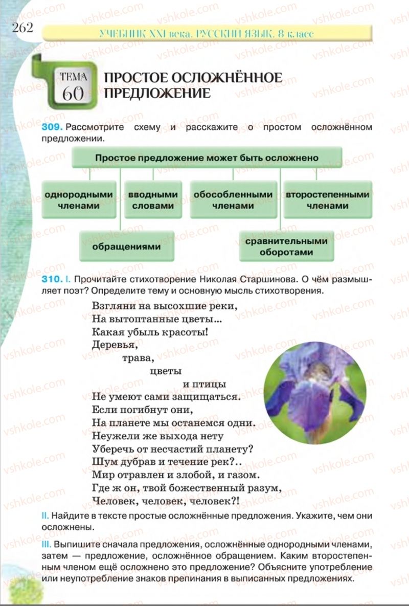 Страница 262 | Підручник Русский язык 8 клас Л.В Давидюк, В.И. Стативка 2016 8 год обучения