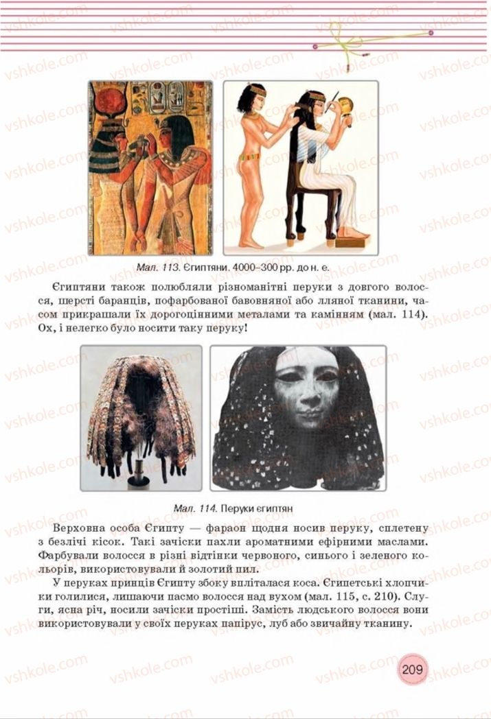 Страница 209 | Підручник Трудове навчання 8 клас Т.С. Мачача, Т.В. Стрижова 2016 Обслуговуючі види прац