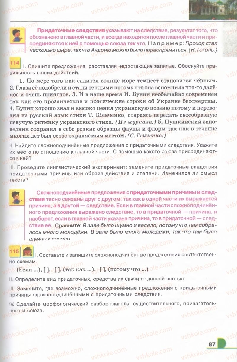 Страница 87 | Підручник Русский язык 9 клас Е.И. Быкова, Л.В. Давидюк, В.И. Стативка 2009