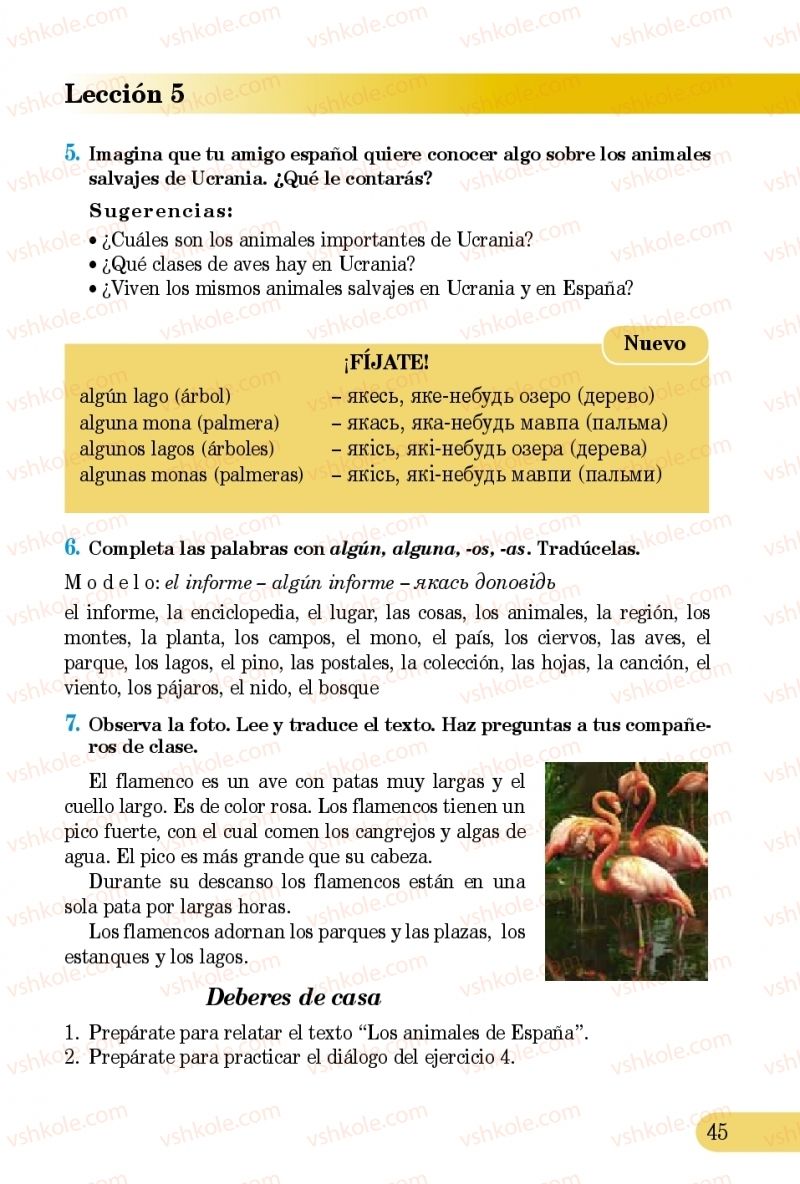 Страница 45 | Підручник Іспанська мова 5 клас В.Г. Редько, В.І. Береславська 2013 5 рік навчання