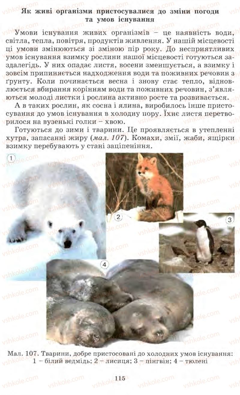 Страница 115 | Підручник Природознавство 5 клас О.Г. Ярошенко, Т.В. Коршевнюк, В.І. Баштовий 2007