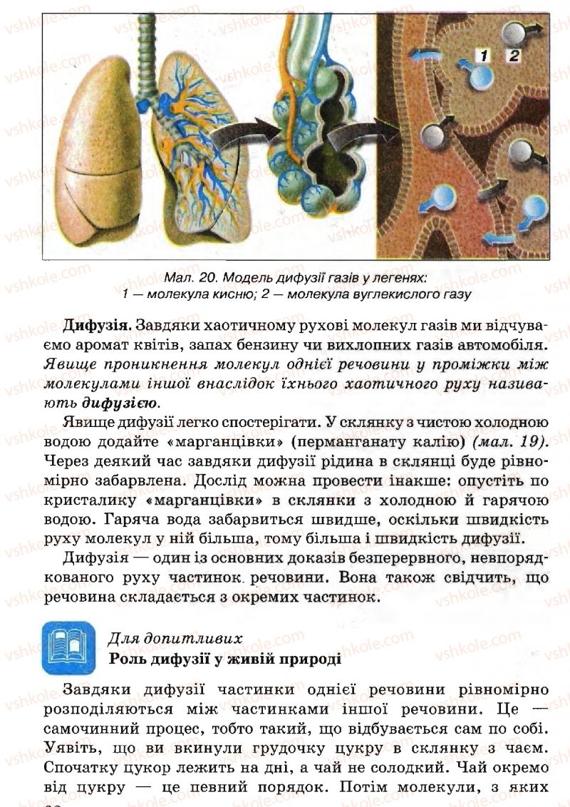 Страница 28 | Підручник Природознавство 5 клас В.Р. Ільченко, К.Ж. Гуз, Л.М. Булава 2005