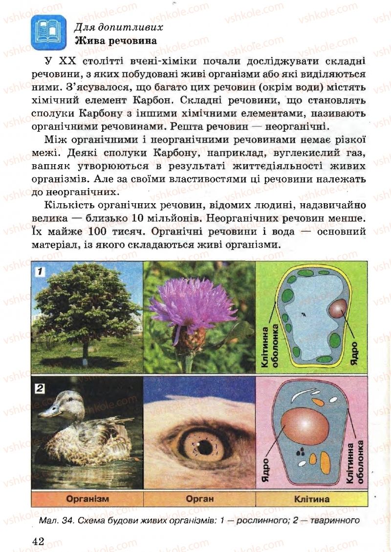 Страница 42 | Підручник Природознавство 5 клас В.Р. Ільченко, К.Ж. Гуз, Л.М. Булава 2005