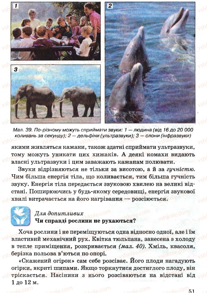 Страница 51 | Підручник Природознавство 5 клас В.Р. Ільченко, К.Ж. Гуз, Л.М. Булава 2005