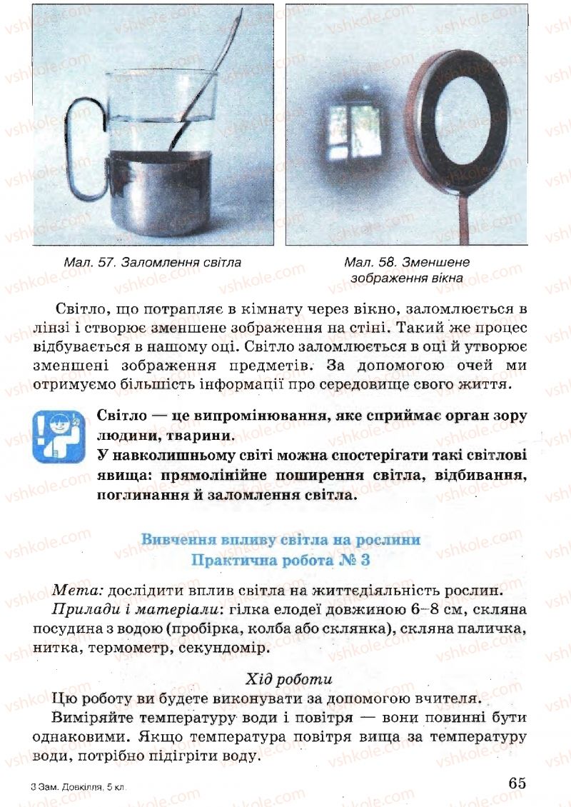 Страница 65 | Підручник Природознавство 5 клас В.Р. Ільченко, К.Ж. Гуз, Л.М. Булава 2005