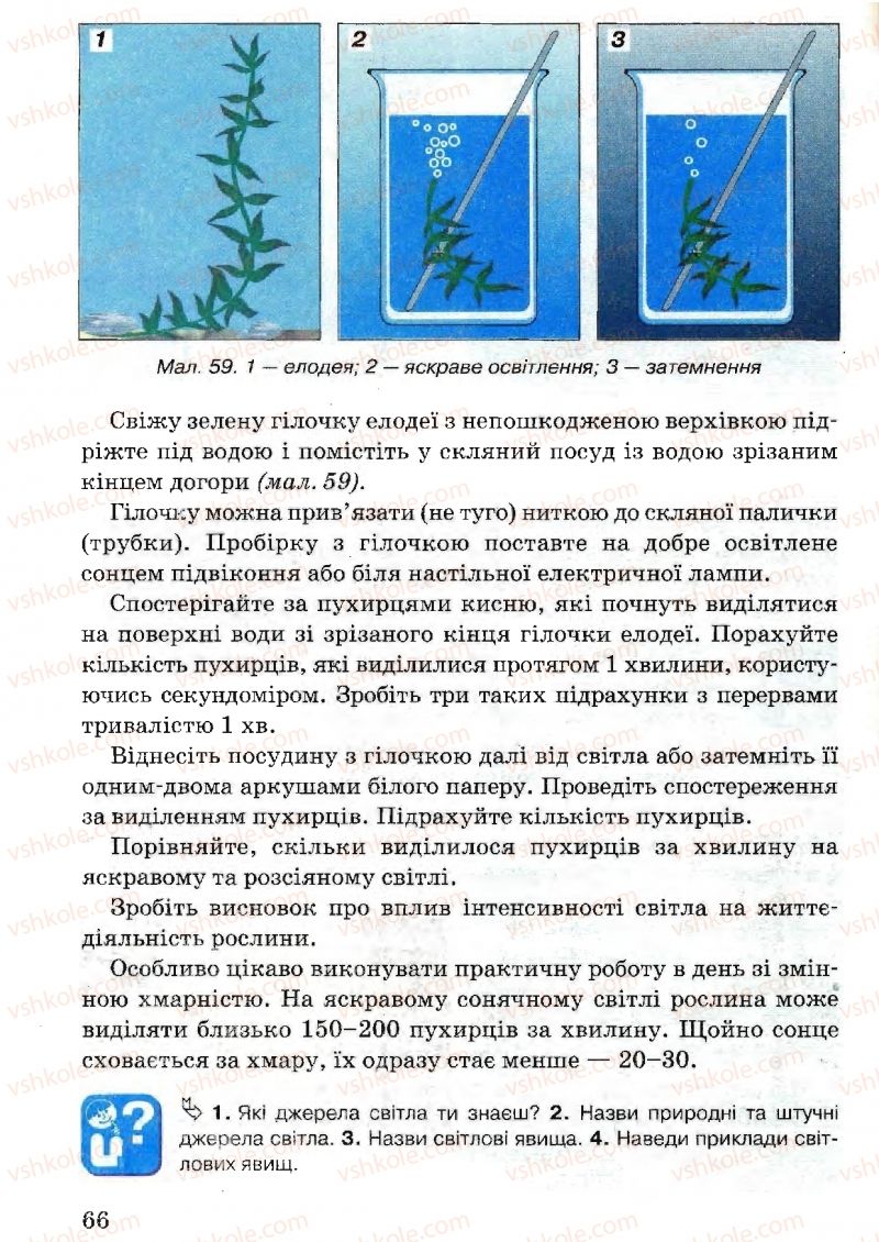 Страница 66 | Підручник Природознавство 5 клас В.Р. Ільченко, К.Ж. Гуз, Л.М. Булава 2005