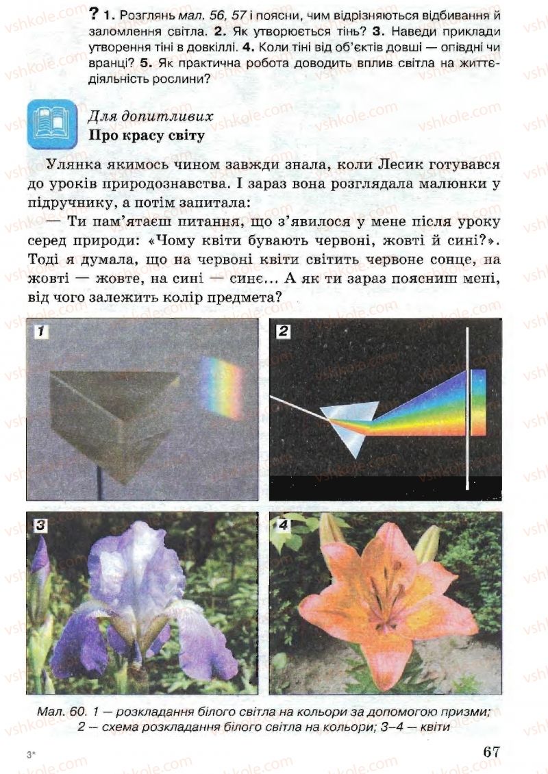 Страница 67 | Підручник Природознавство 5 клас В.Р. Ільченко, К.Ж. Гуз, Л.М. Булава 2005