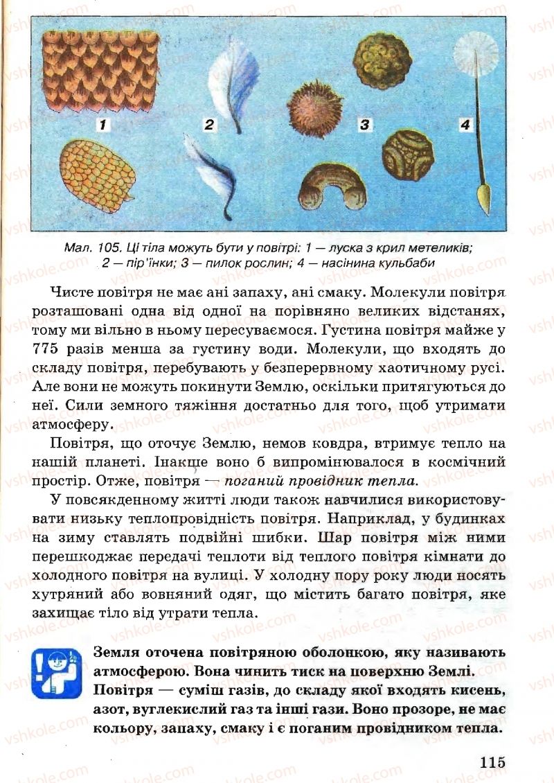Страница 115 | Підручник Природознавство 5 клас В.Р. Ільченко, К.Ж. Гуз, Л.М. Булава 2005