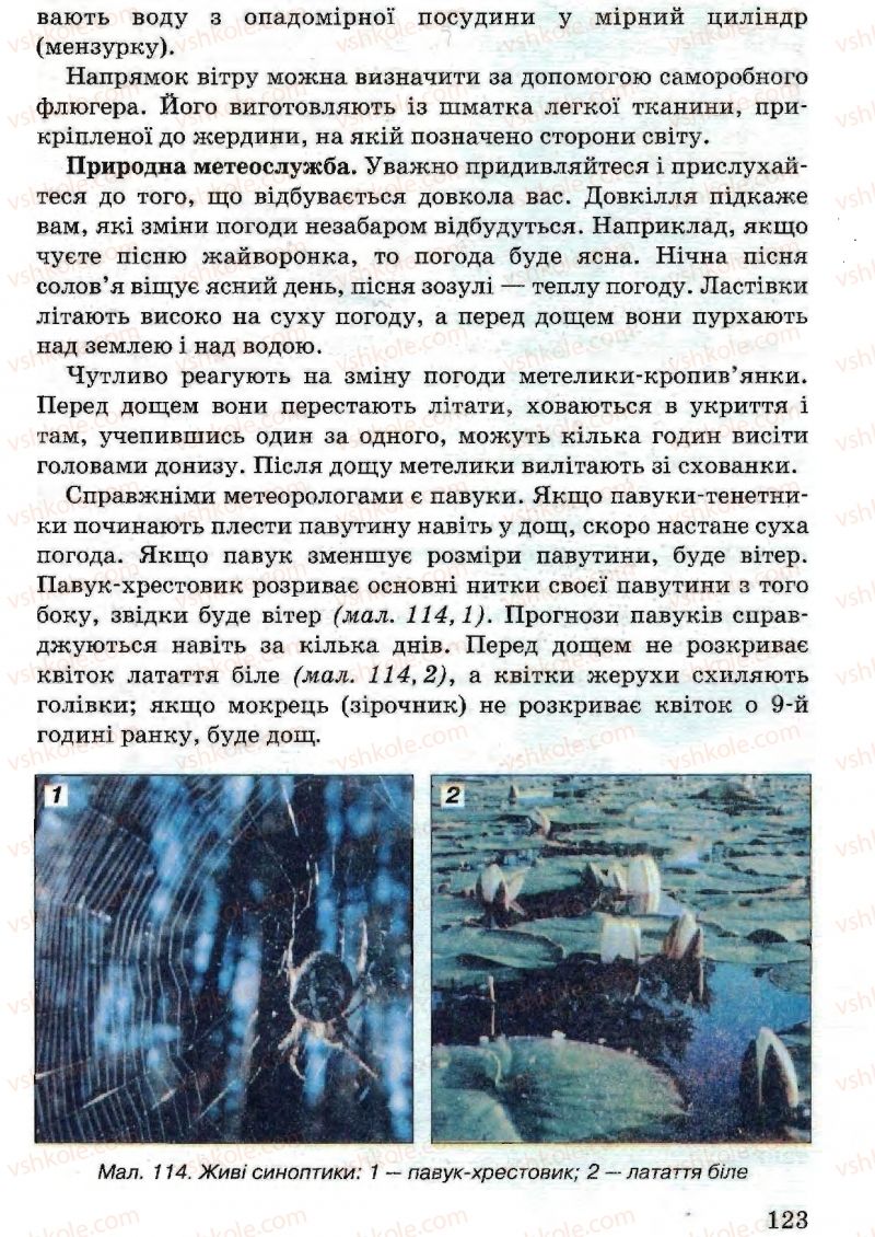 Страница 123 | Підручник Природознавство 5 клас В.Р. Ільченко, К.Ж. Гуз, Л.М. Булава 2005