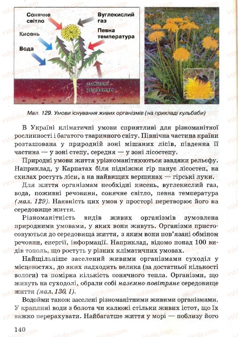 Страница 140 | Підручник Природознавство 5 клас В.Р. Ільченко, К.Ж. Гуз, Л.М. Булава 2005