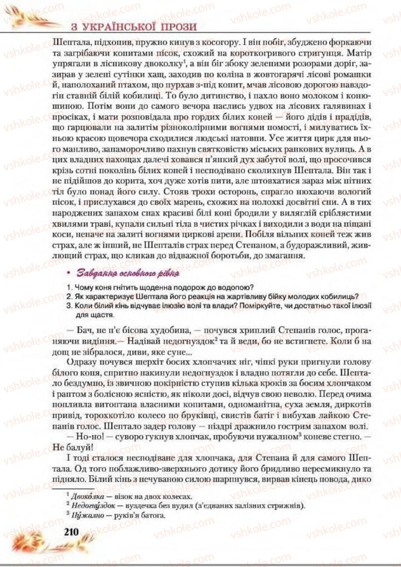 Страница 210 | Підручник Українська література 8 клас В.І. Пахаренко, Н.А. Коваль 2016