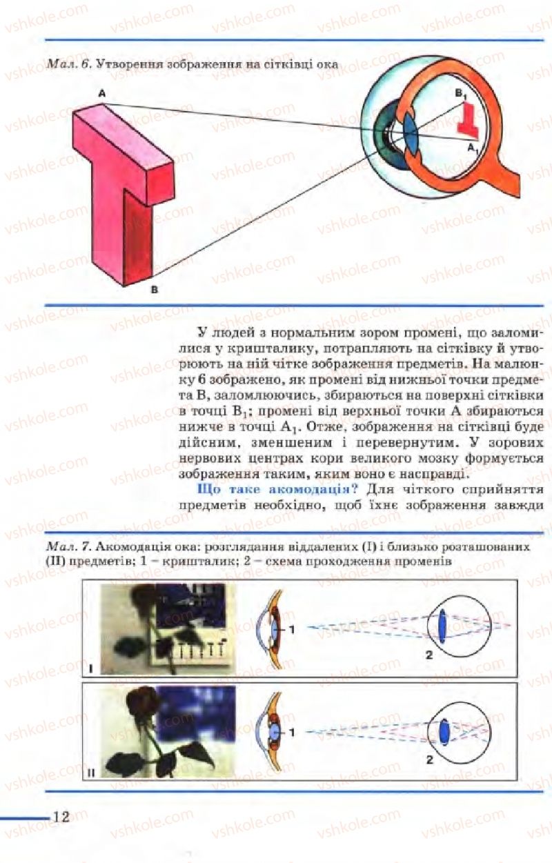 Страница 12 | Підручник Біологія 9 клас М.Н. Шабатура, Н.Ю. Матяш, В.О. Мотузний 2004